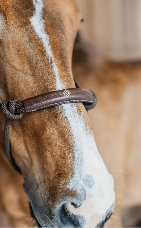 Training Halter Working By Dyon