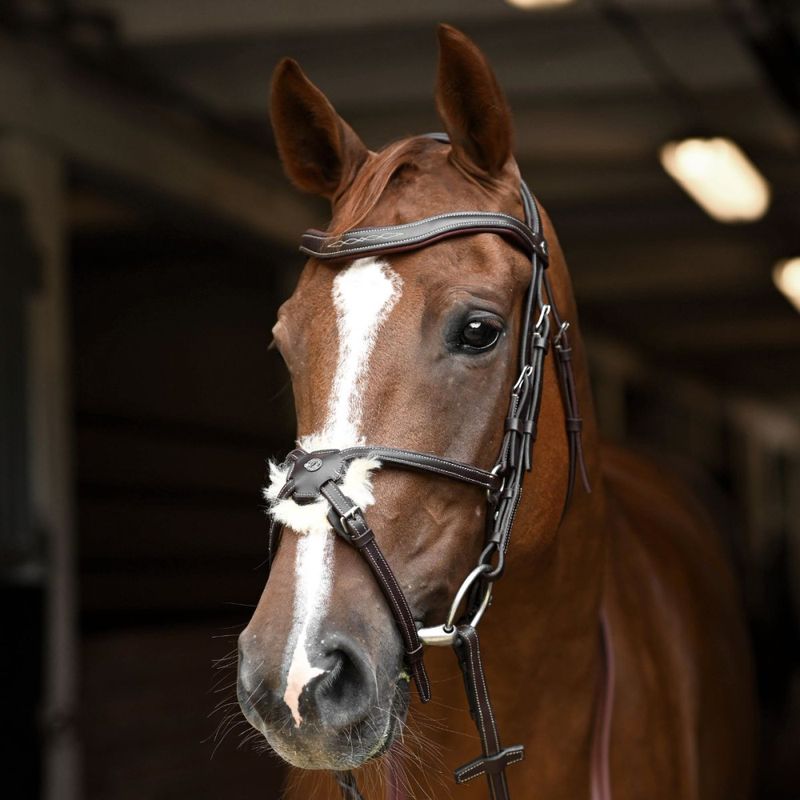 Antarès Signature Hodelag med kryssnesereim
