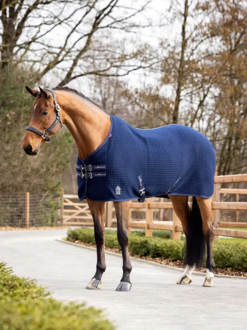 Hovedbilde LeMieux Arika Clima-Tek Rug