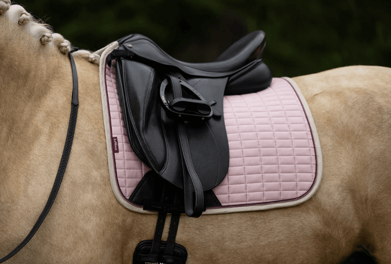LeMieux Suede Dressage Square Blossom