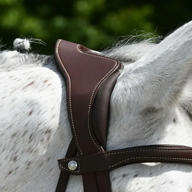 Antarès Precision anatomic comfort bridle