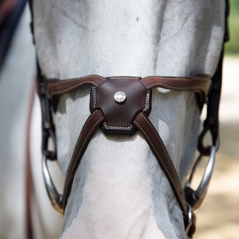 Antarès Origin Figure 8 Bridle