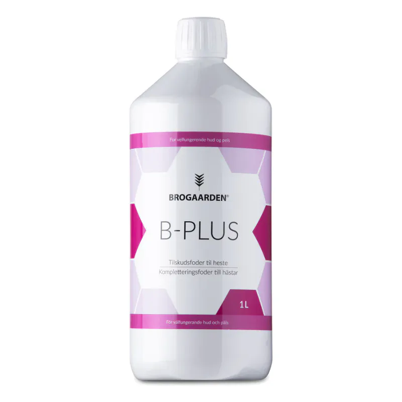 Brogaarden B-Plus