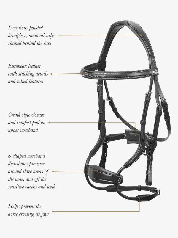 LeMieux Kudos Clear Arc Bridle Black/Silver