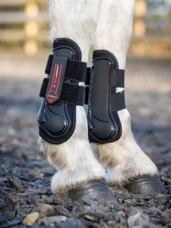 LeMieux Junior Pro TENDON