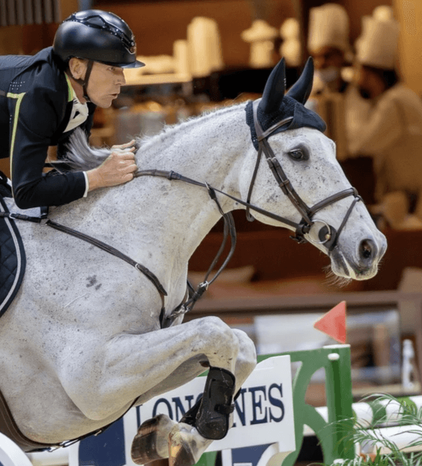 Hovedbilde BHOOF BRIDLE 1 - FLASH