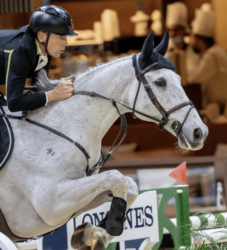 BHOOF BRIDLE 1 - FLASH