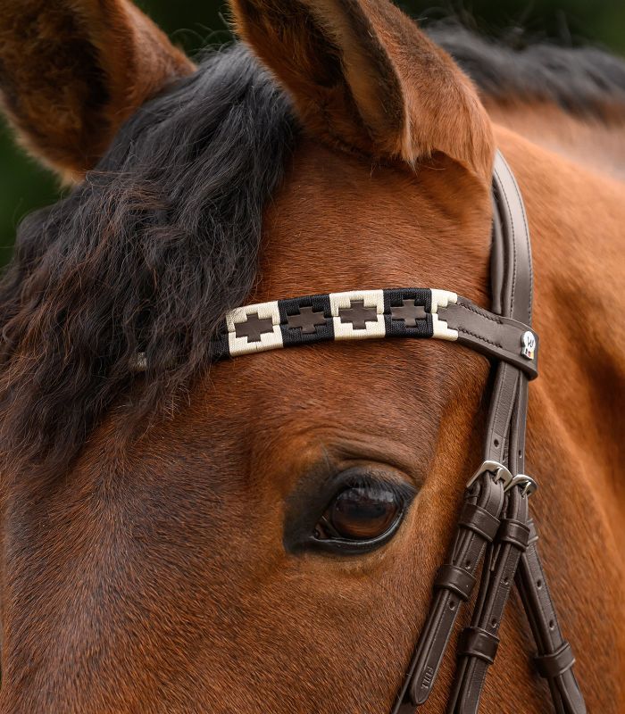 Waldhausen X-Line Browband Polo, brown