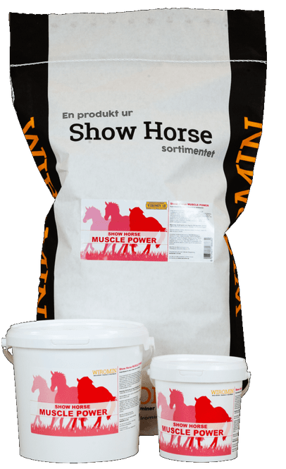 Hovedbilde Show Horse Muscle Power