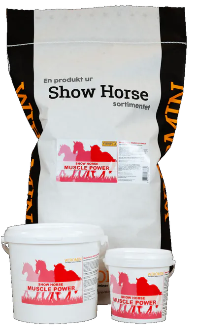 Hovedbilde Show Horse Muscle Power