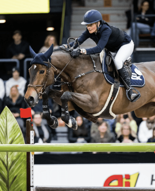 BHOOF BRIDLE 1 Y-FIT