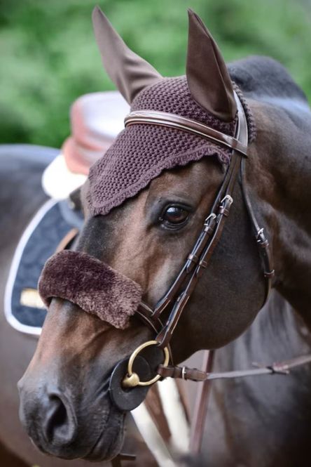 Hovedbilde Kentucky Fly veil