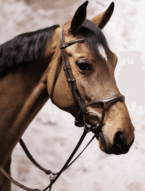 Hovedbilde BHOOF BRIDLE 1 Y-FIT