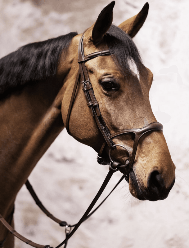 BHOOF BRIDLE 1 Y-FIT