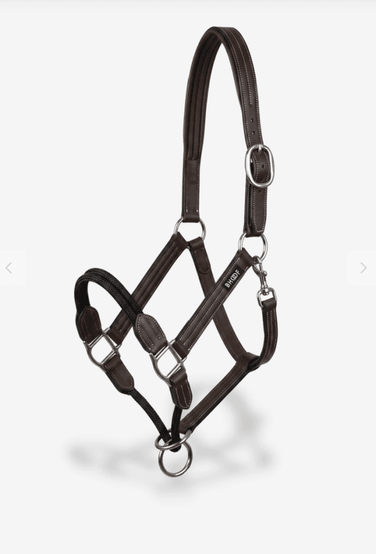 Bhoof Leather Halter with Rope 