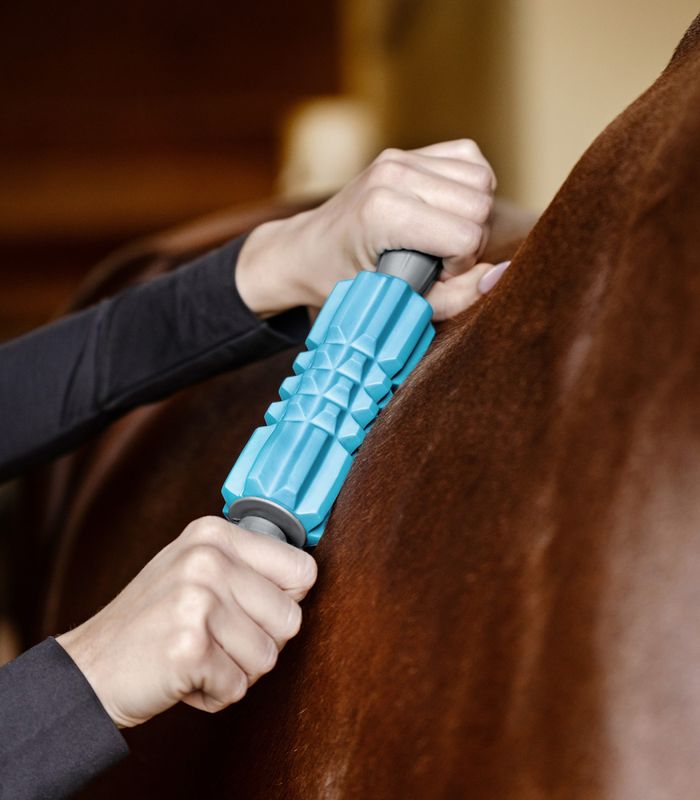 Waldhausen Health + Care Fascia Fit Massasje