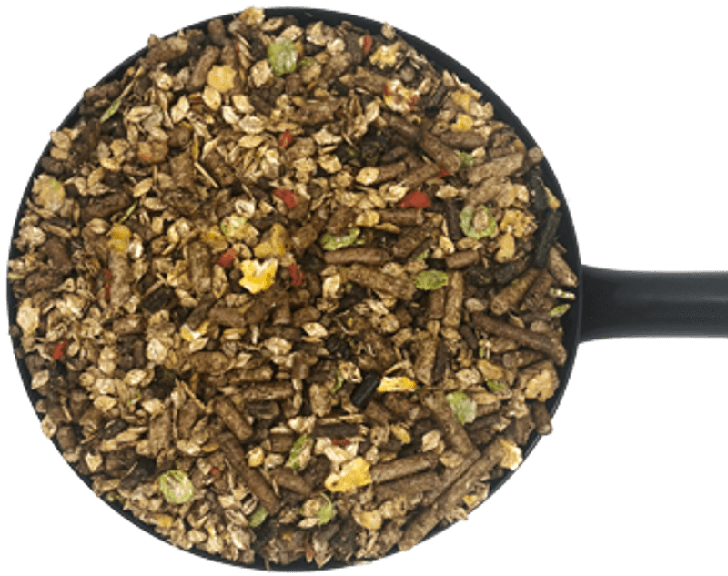 D&H Sixteen Plus Mix 20 KG