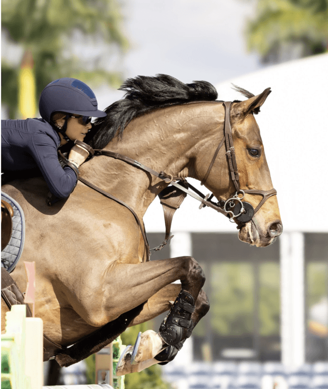 BHOOF BRIDLE 2 Y-FIT