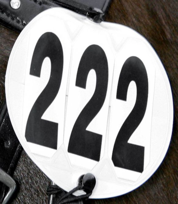 Hovedbilde Waldhausen Ekvipagenummer rundt