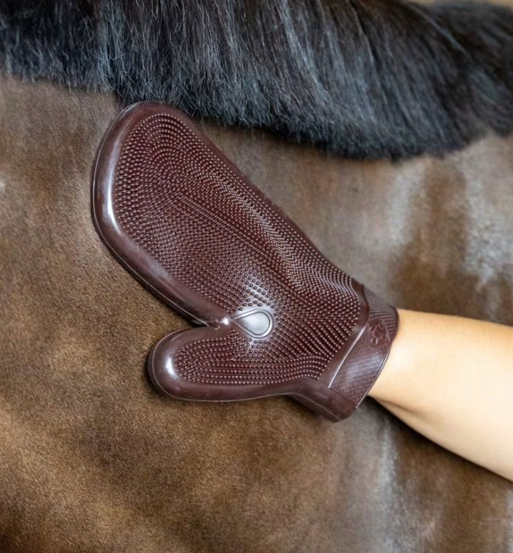 Grooming Deluxe Rubber Grooming Glove