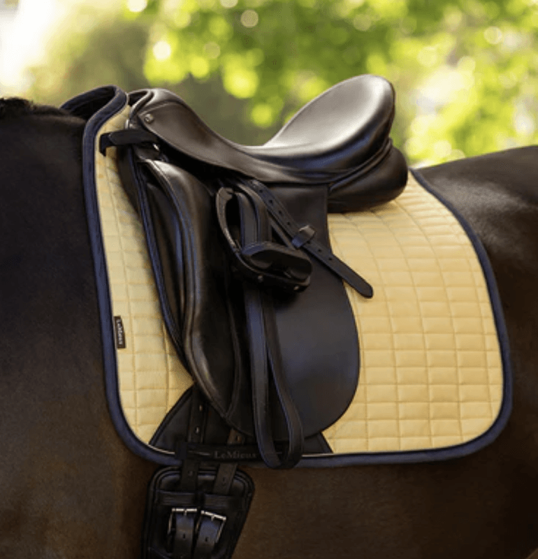 LeMieux Suede Dressage Square Mimosa