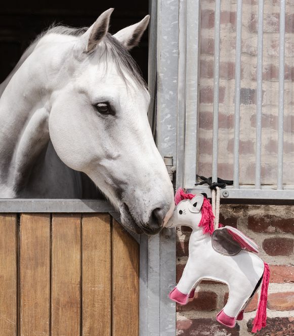 Hovedbilde Waldhausen Emily the Unicorn – Hesteleke