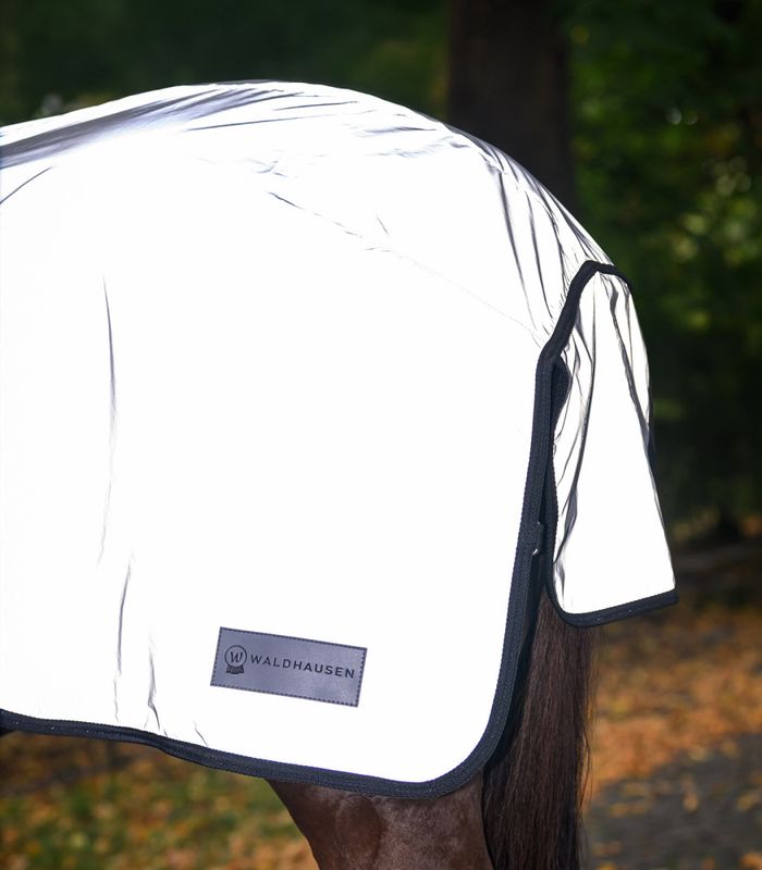 Waldhausen Exercise Rug Reflex