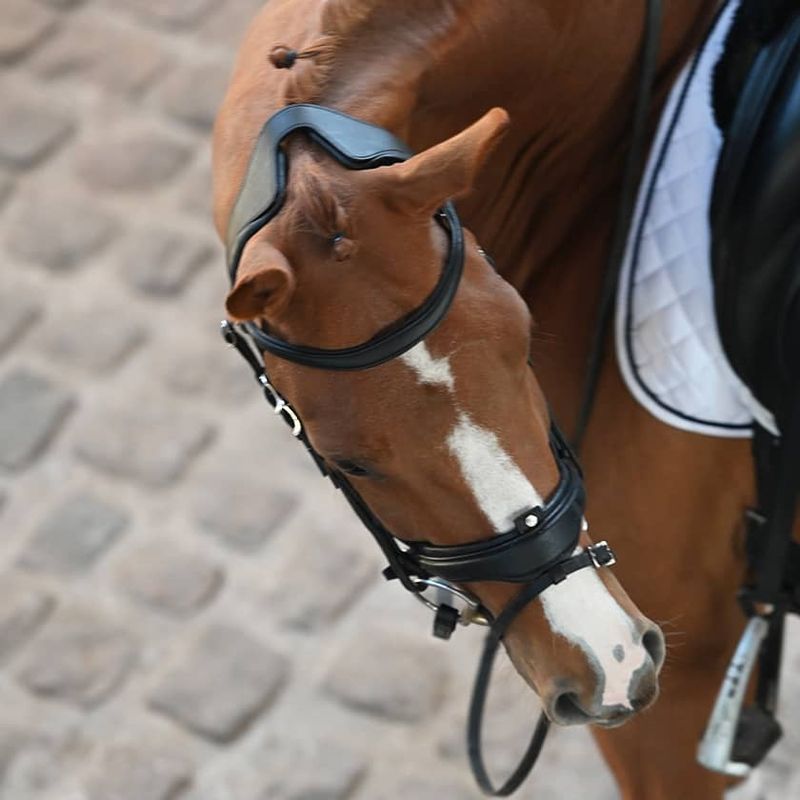 Antarès Precision Anatomisk Hodelag