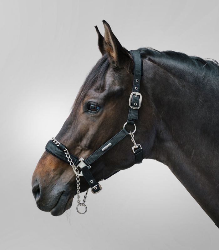 Waldhausen Sikkerhetsgrime