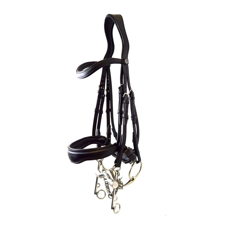 Signature by Antarès Kandar