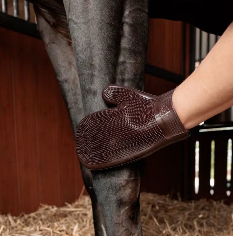 Grooming Deluxe Rubber Grooming Glove