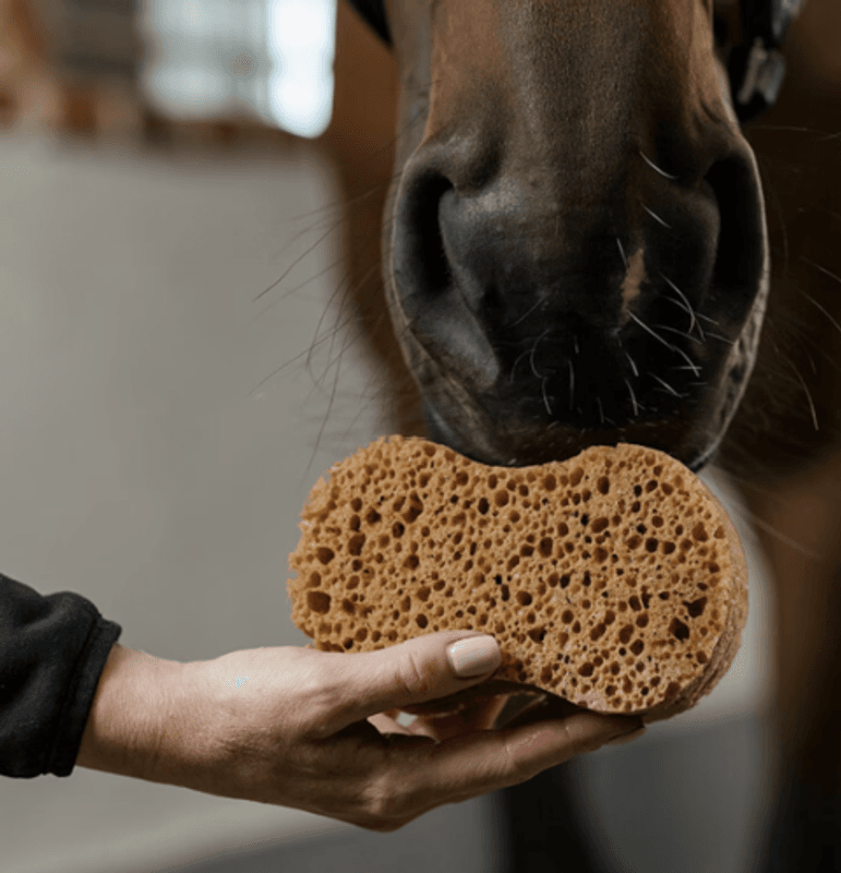 Borstiq Farm Groomingsvamp