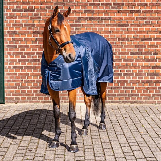 Hovedbilde Aloga Liner 100g Navy