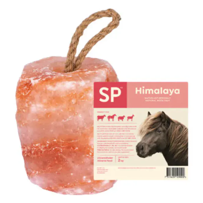 Hovedbilde Himalaya Saltstein 2kg