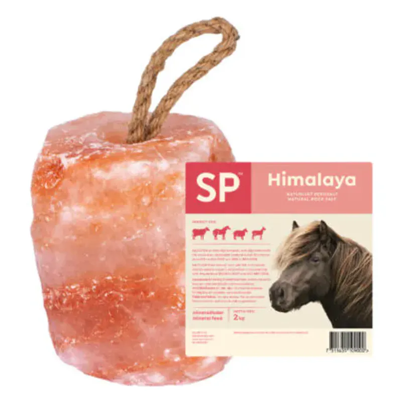 Himalaya Saltstein 2kg