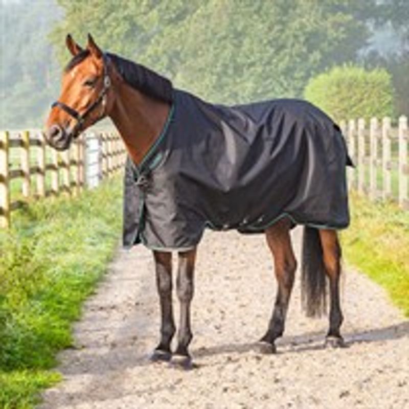 Aloga Pro Turnout with hood 200g