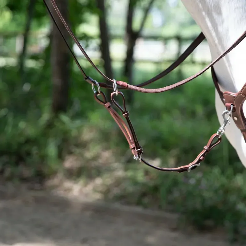 Antarès Origin running martingale attachment