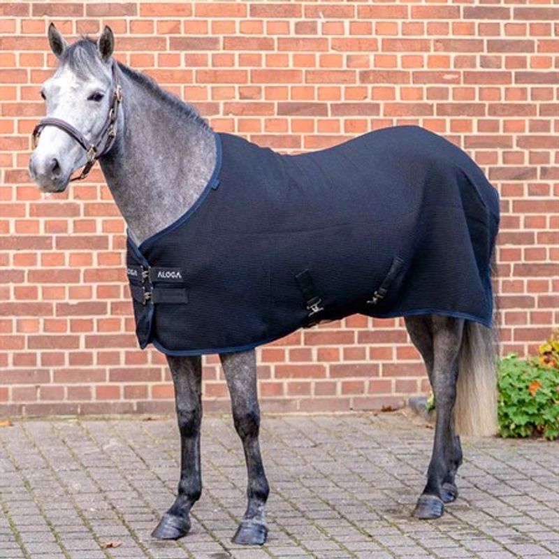  Aloga Pony Waffle cooler Black/Navy