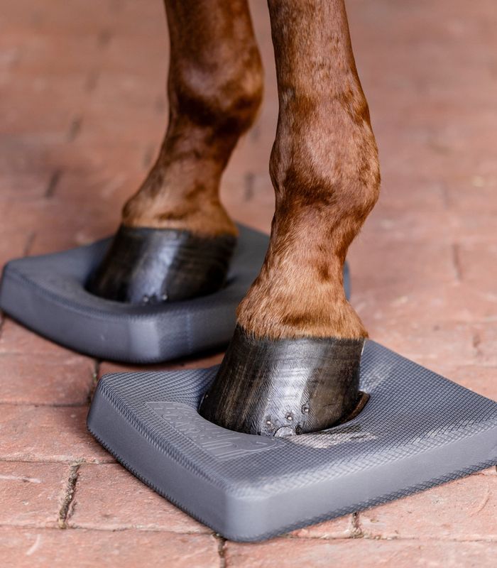 Waldhausen Health+Care Balanseputer