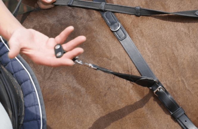 Hovedbilde Freejump Collar